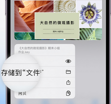 桂林apple维修中心分享iPhone文件应用中存储和找到下载文件