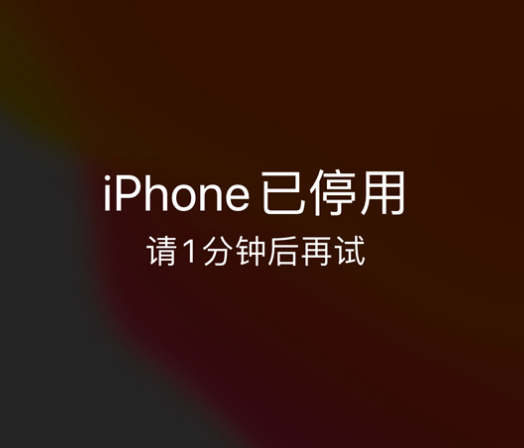 桂林苹果手机维修分享:iPhone 显示“不可用”或“已停用”怎么办？还能保留数据吗？ 