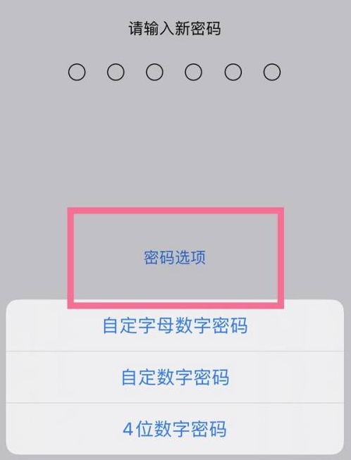 桂林苹果14维修分享iPhone 14plus设置密码的方法 