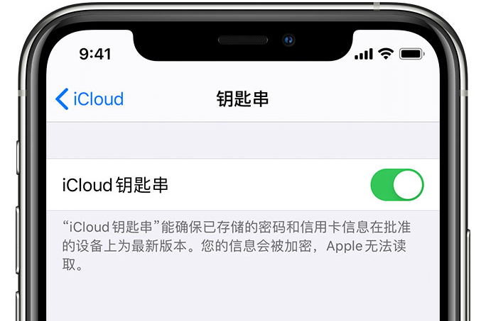 桂林苹果手机维修分享在 iPhone 上开启 iCloud 钥匙串之后会储存哪些信息 