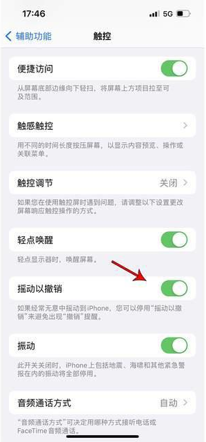 桂林苹果手机维修分享iPhone手机如何设置摇一摇删除文字 